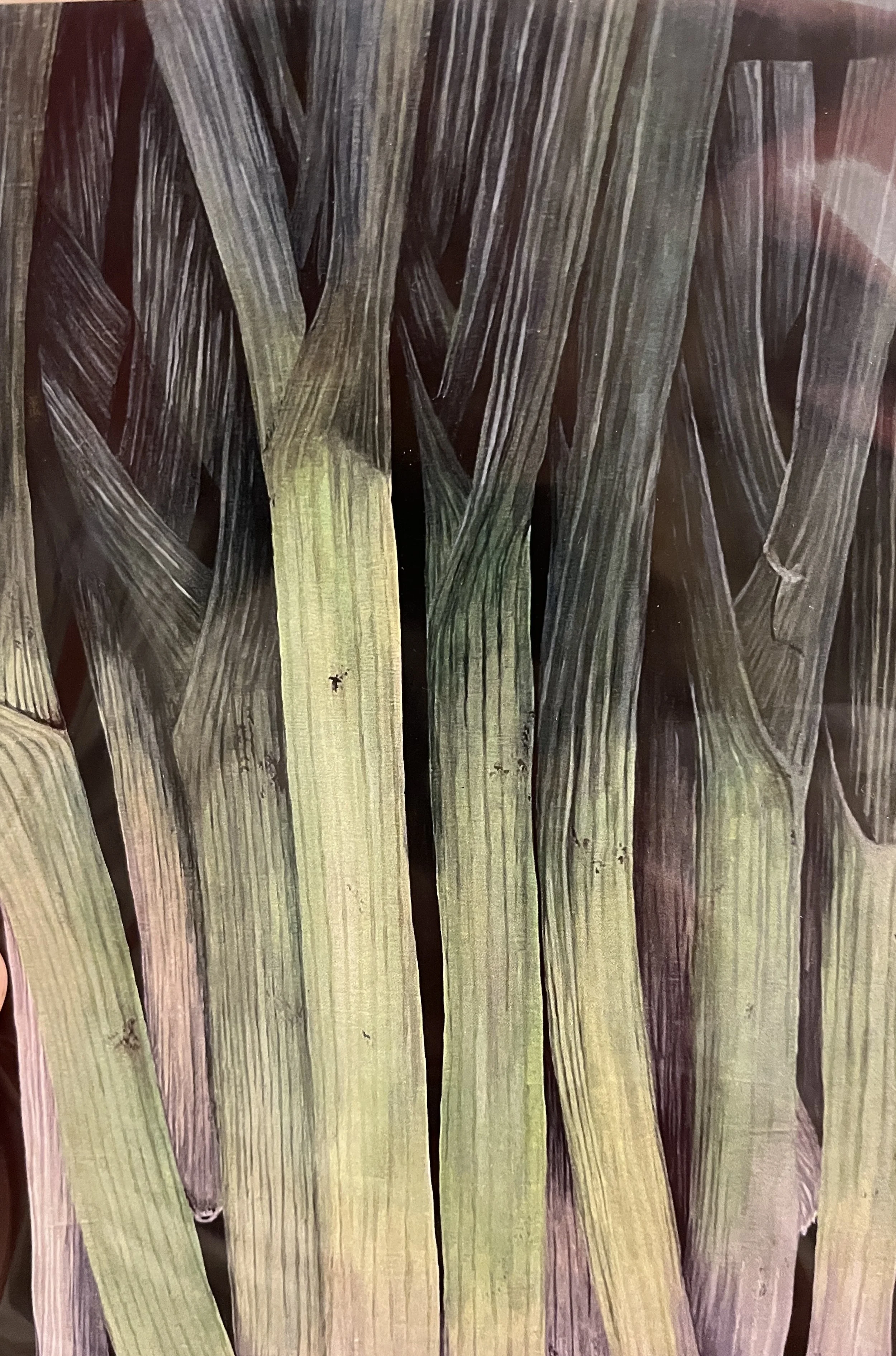 Alayna Corbett -Vegetable prints