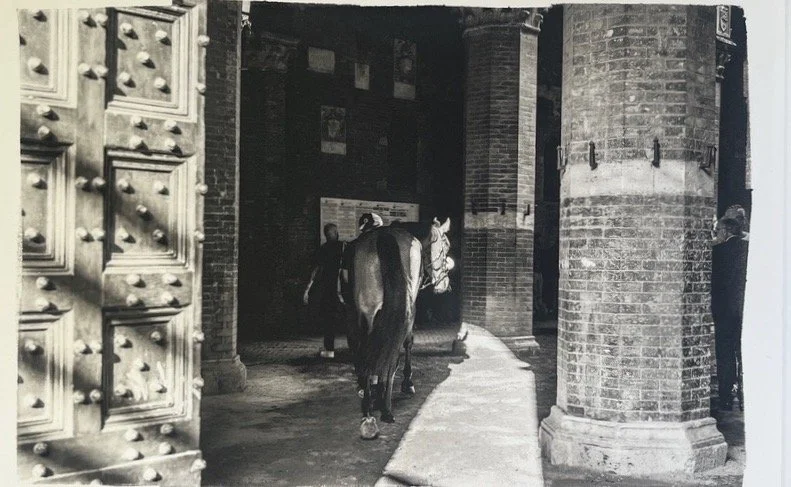 Vanessa Taylor    Entrone - The Palio di Siena 2024