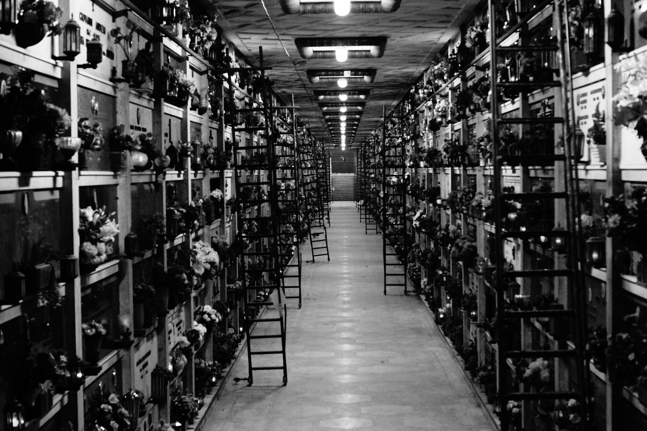 Amelia Kate Sampson_Rush Hour.jpeg