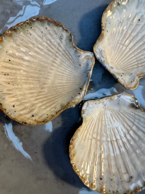 ALex Bied Tidal Pools.jpeg