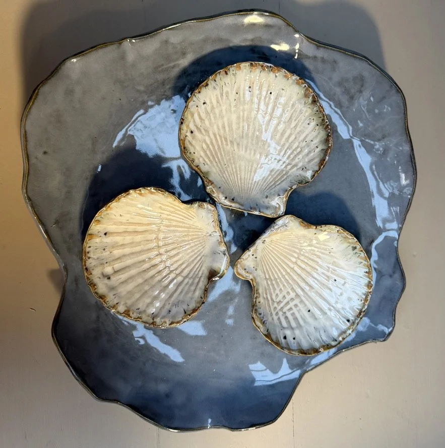 Alex Biedrzycki - Tidal Pool