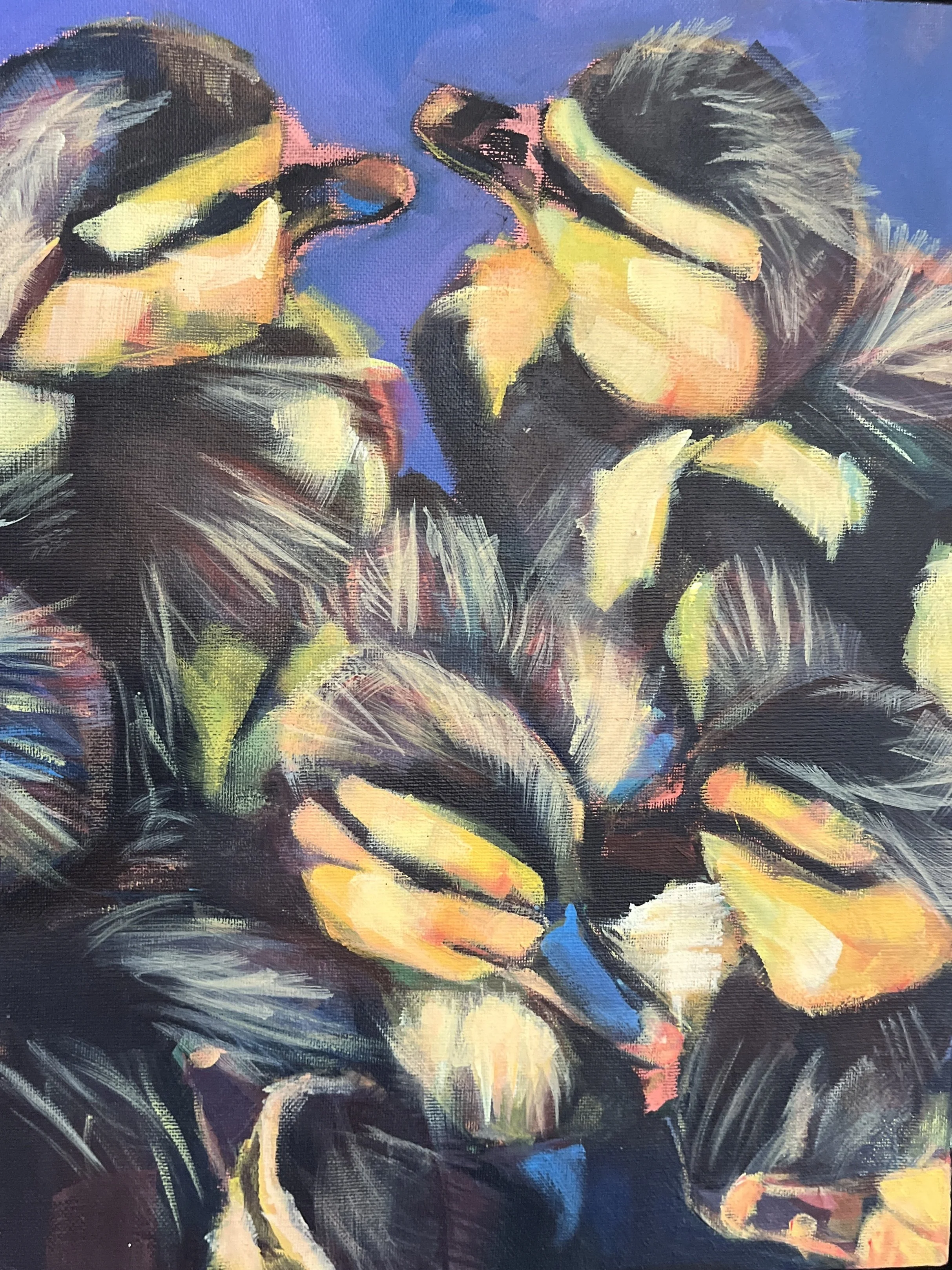 Amelia Page - Chicks