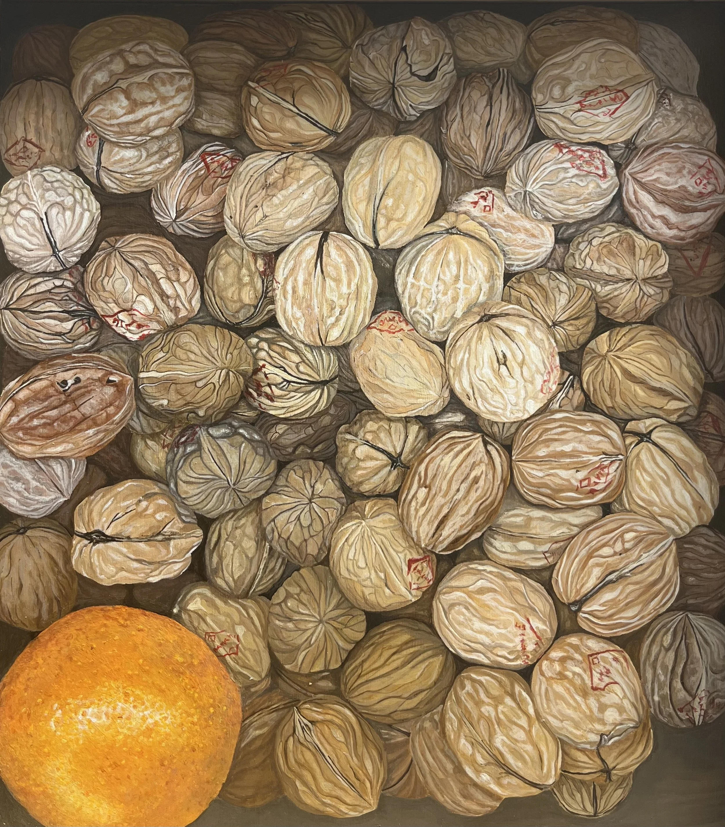 Alayna Corbett -Walnuts