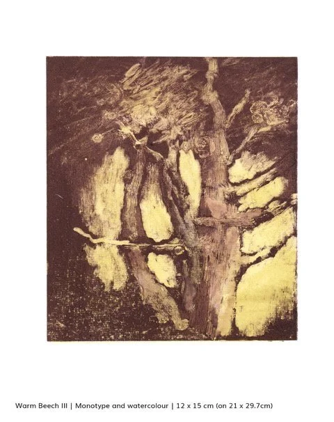 Cat Tams - Warm Beech III