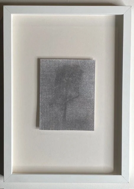 Dora Brooks Pine in Fog 10 x 13 cm.jpeg