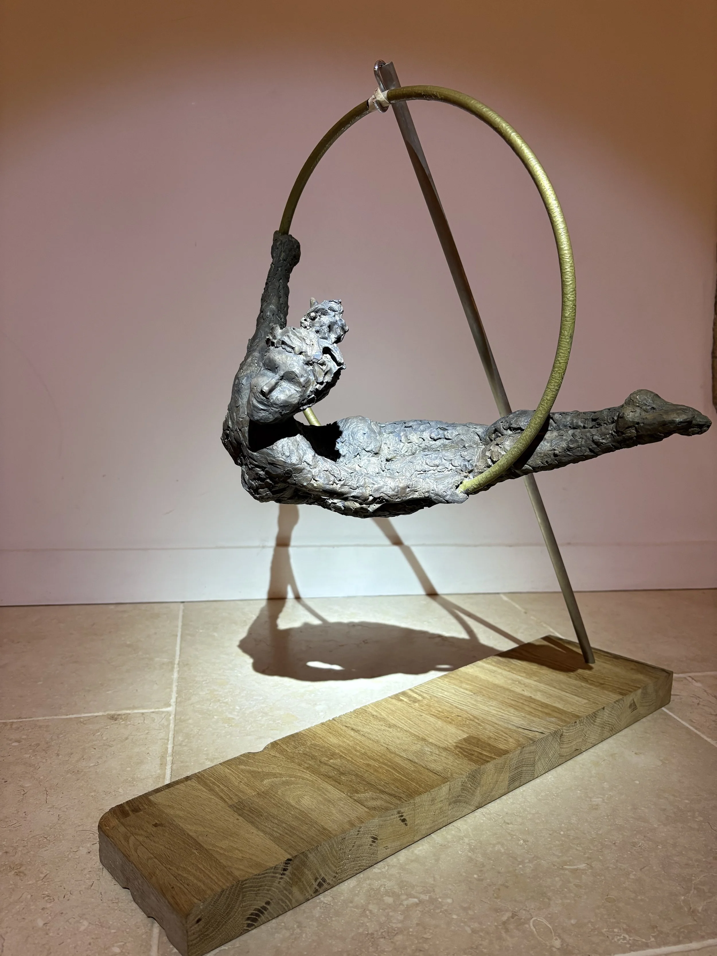 Francesca Hamilton - Dancer on hoop