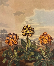 Screenshot 2025-11-26 at 13.20.04.png