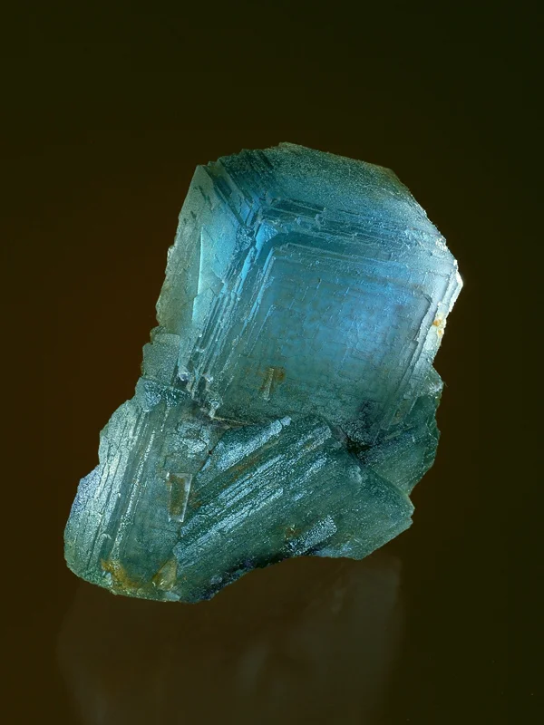 fig. 13