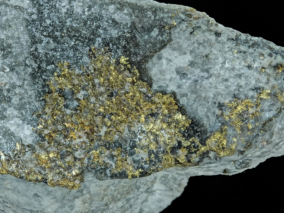1300_Gold_LosDelirios_Colombia_2_1200x900.jpg