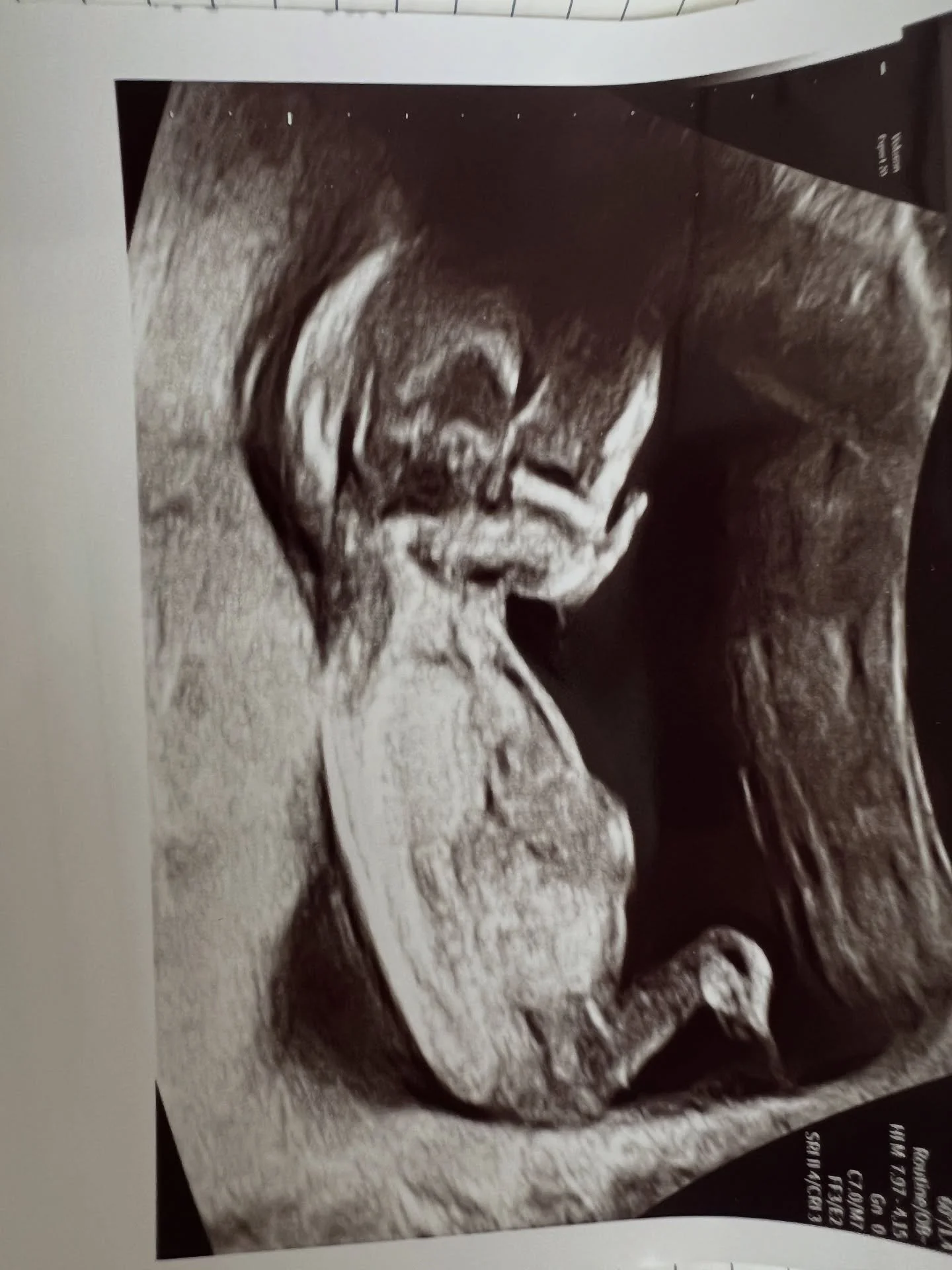 So I&rsquo;ve been a little missing in action 😅 and this is what I&rsquo;ve been up to🤰

It&rsquo;s exciting and overwhelming in equal measure 😬 tried to climb and failed on multiple occasions (I won&rsquo;t go into the details 🤢) so it&rsquo;s b