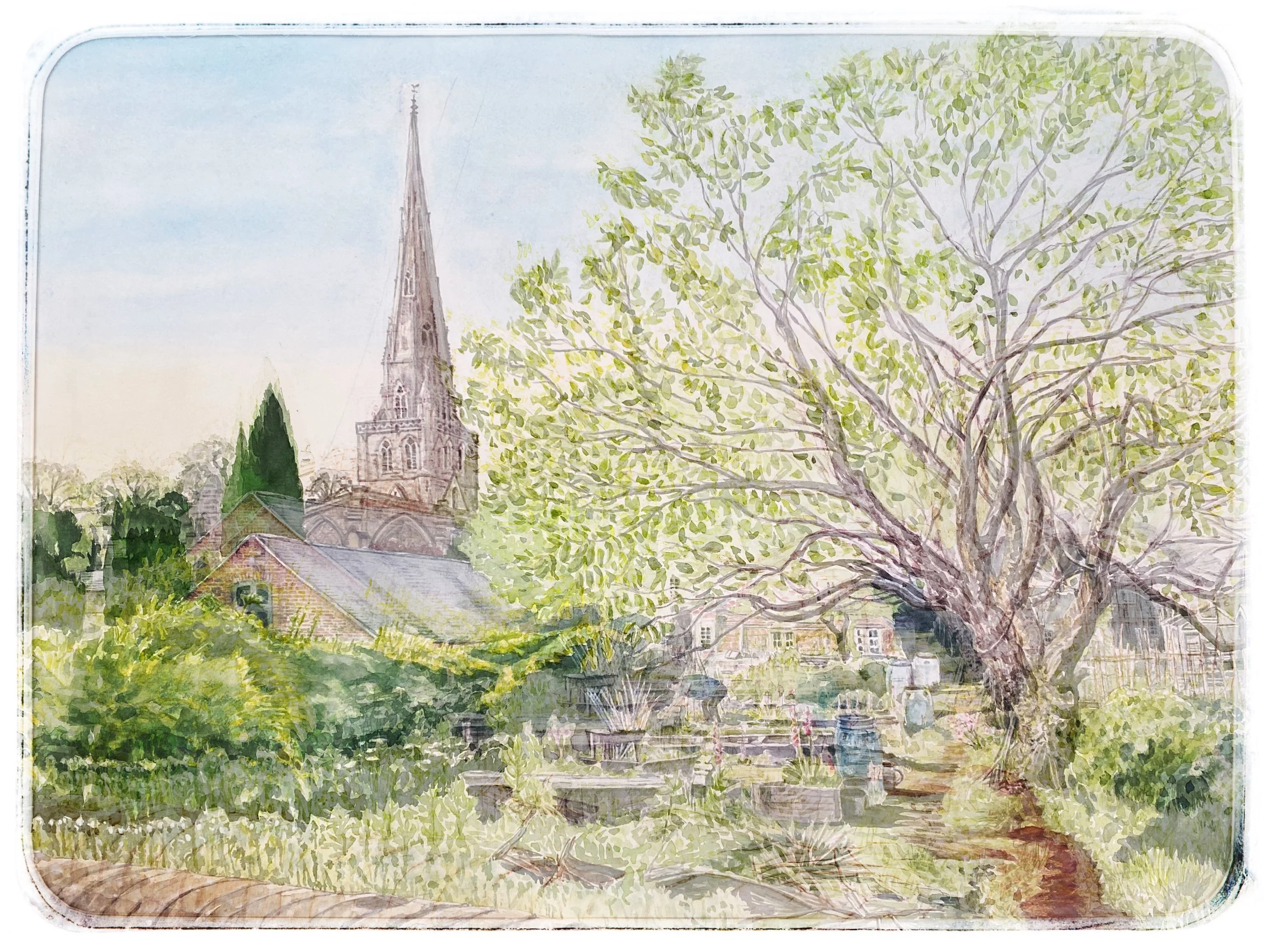 Summer Evening Vista (allotments & church).jpg