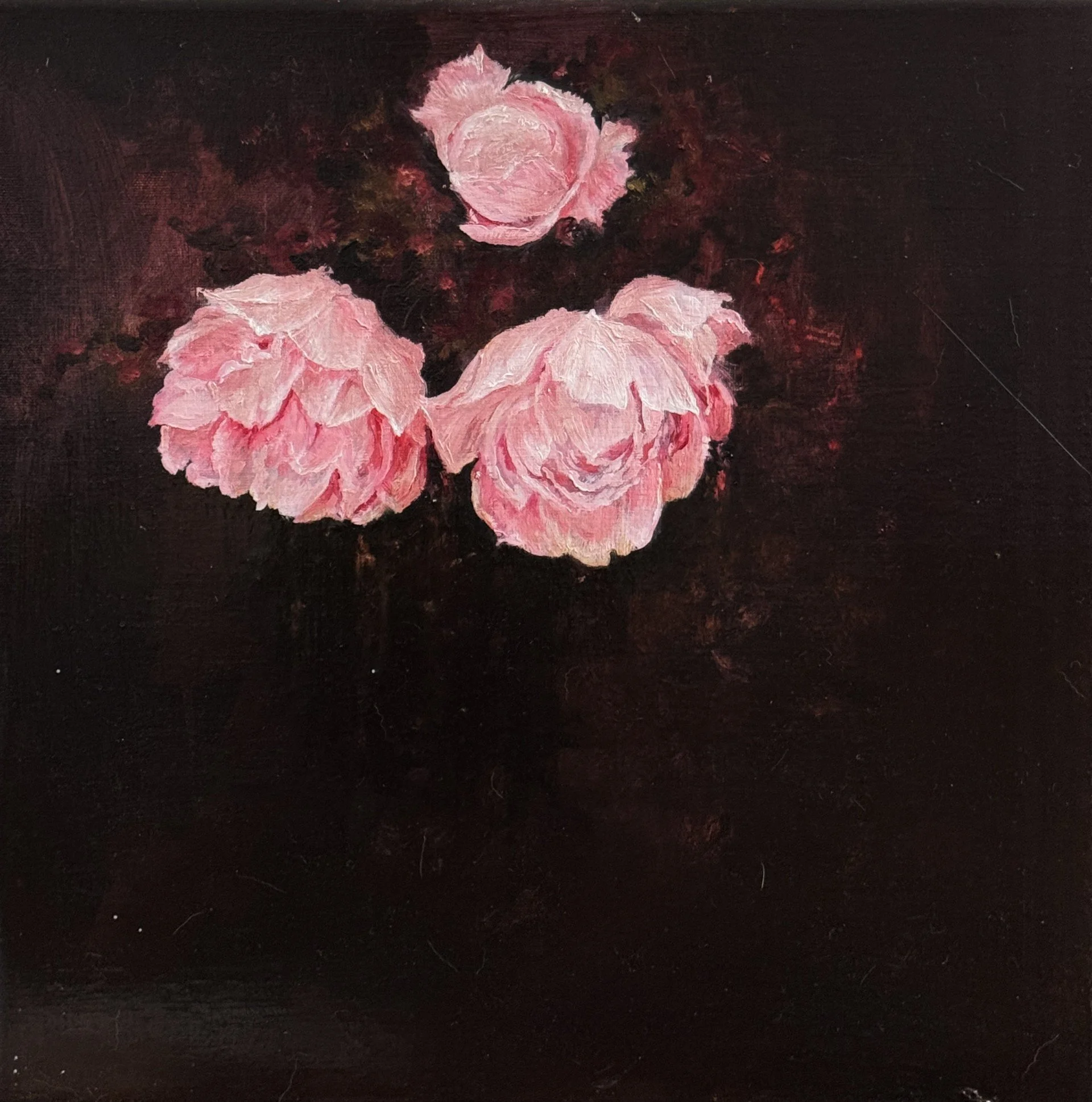 Wild and Soulful oil on canvas 30cm x 30cm.jpeg