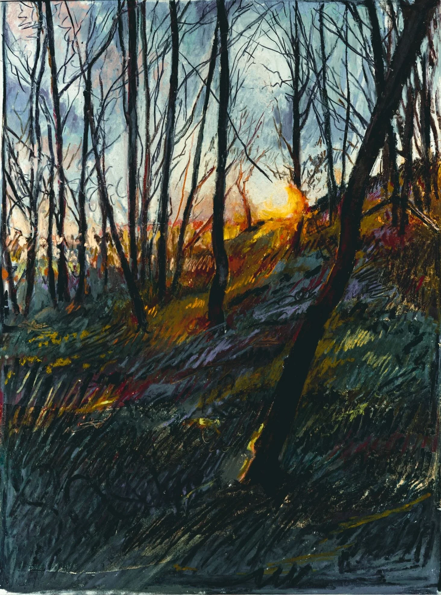 Once a Wood Drawing - March 6am.jpeg