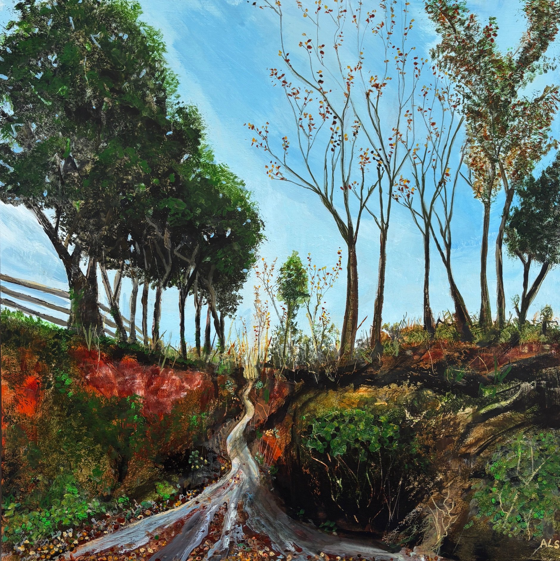 Where the Rain Wanders.jpeg