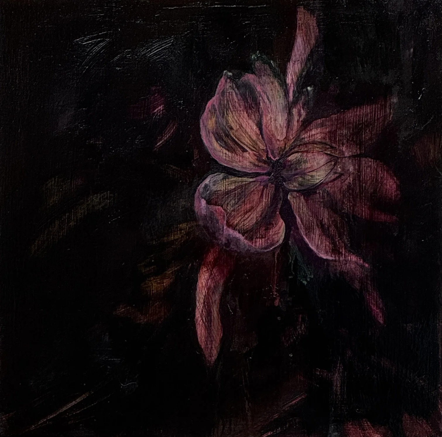 Nocturne in Petals oil on canvas 30cm x 30cm.jpeg