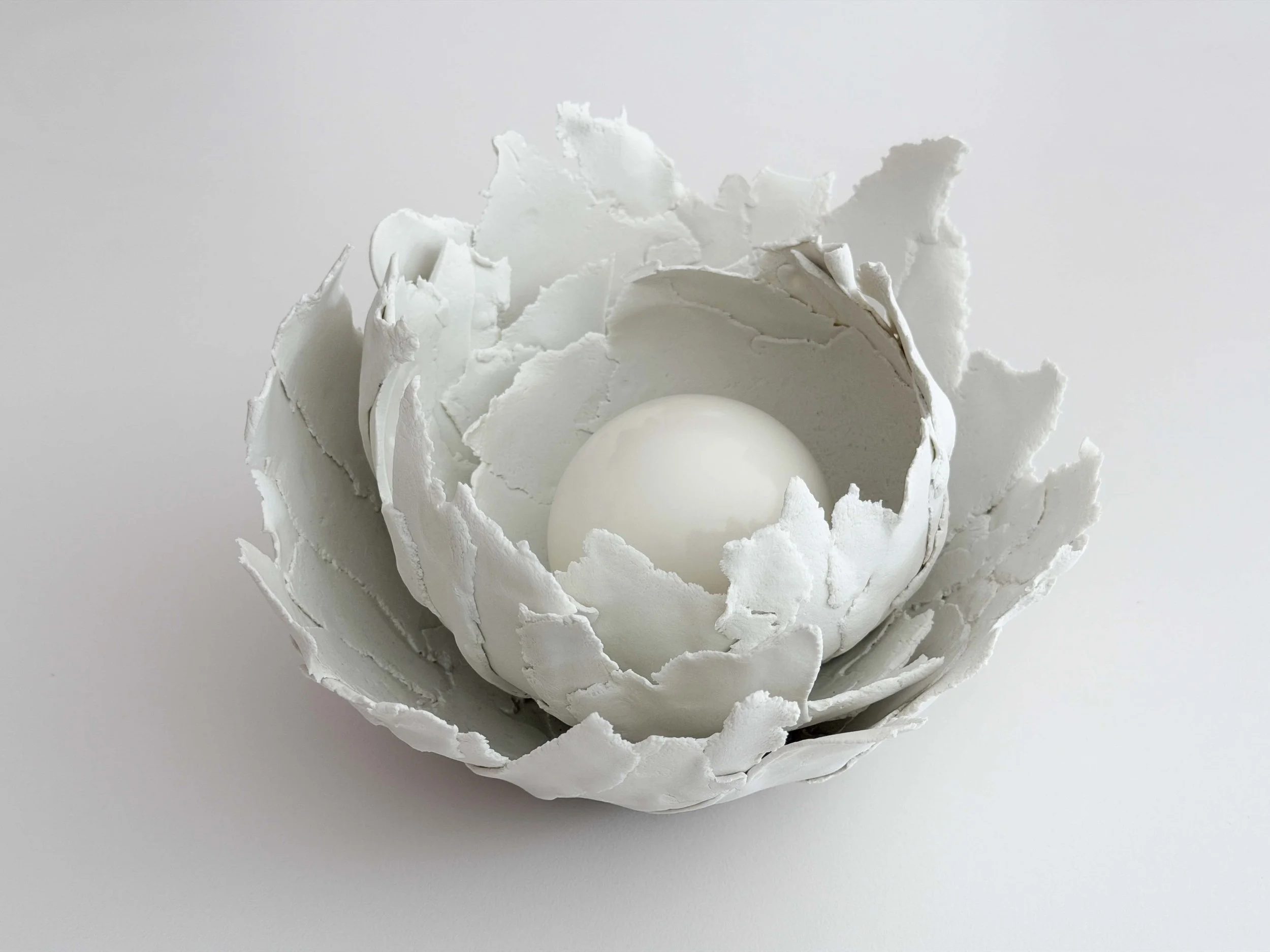 Lucy Lee_Cocoon (2).jpg