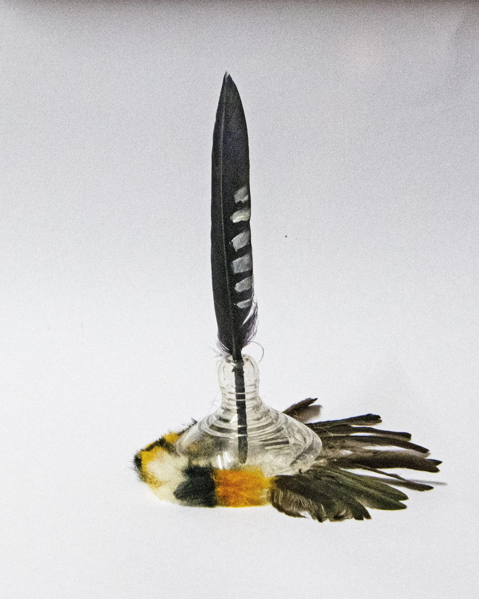 Brooks, Natalie - Blockage, Mixed Media.jpg