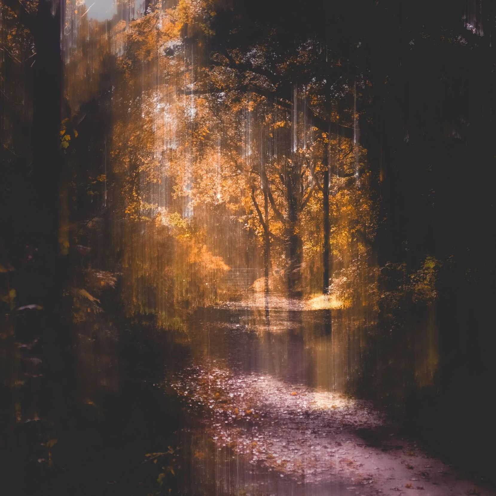 Paul-Binnion-Fading-Light-Resized.jpg