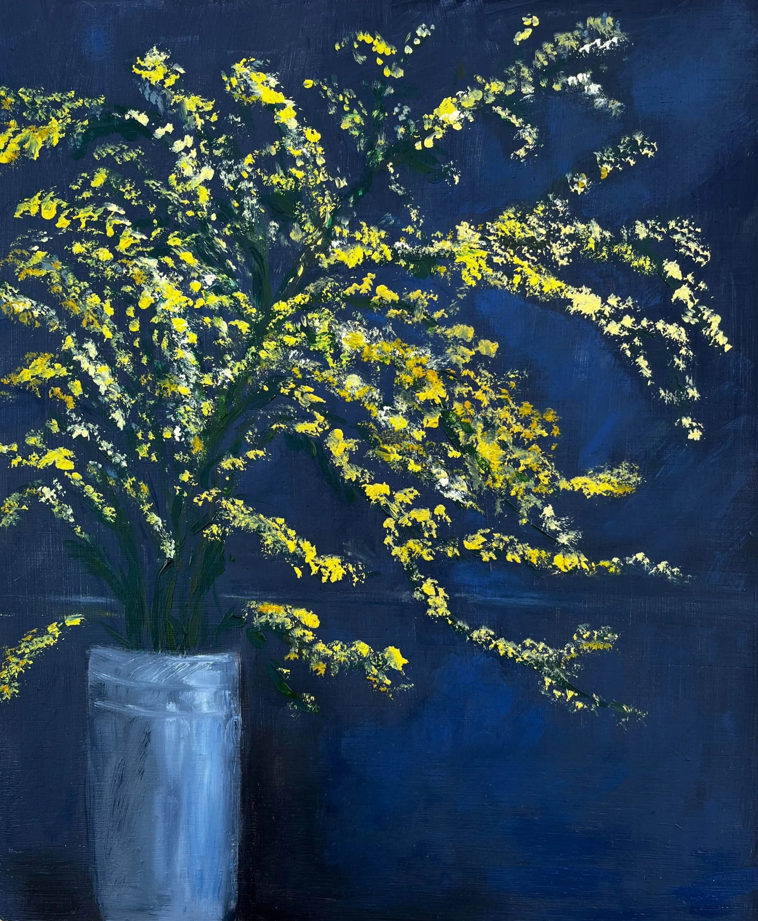 25014 Mimosa for Nick.jpeg