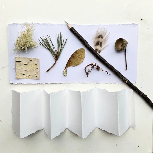 nature books 1.jpg