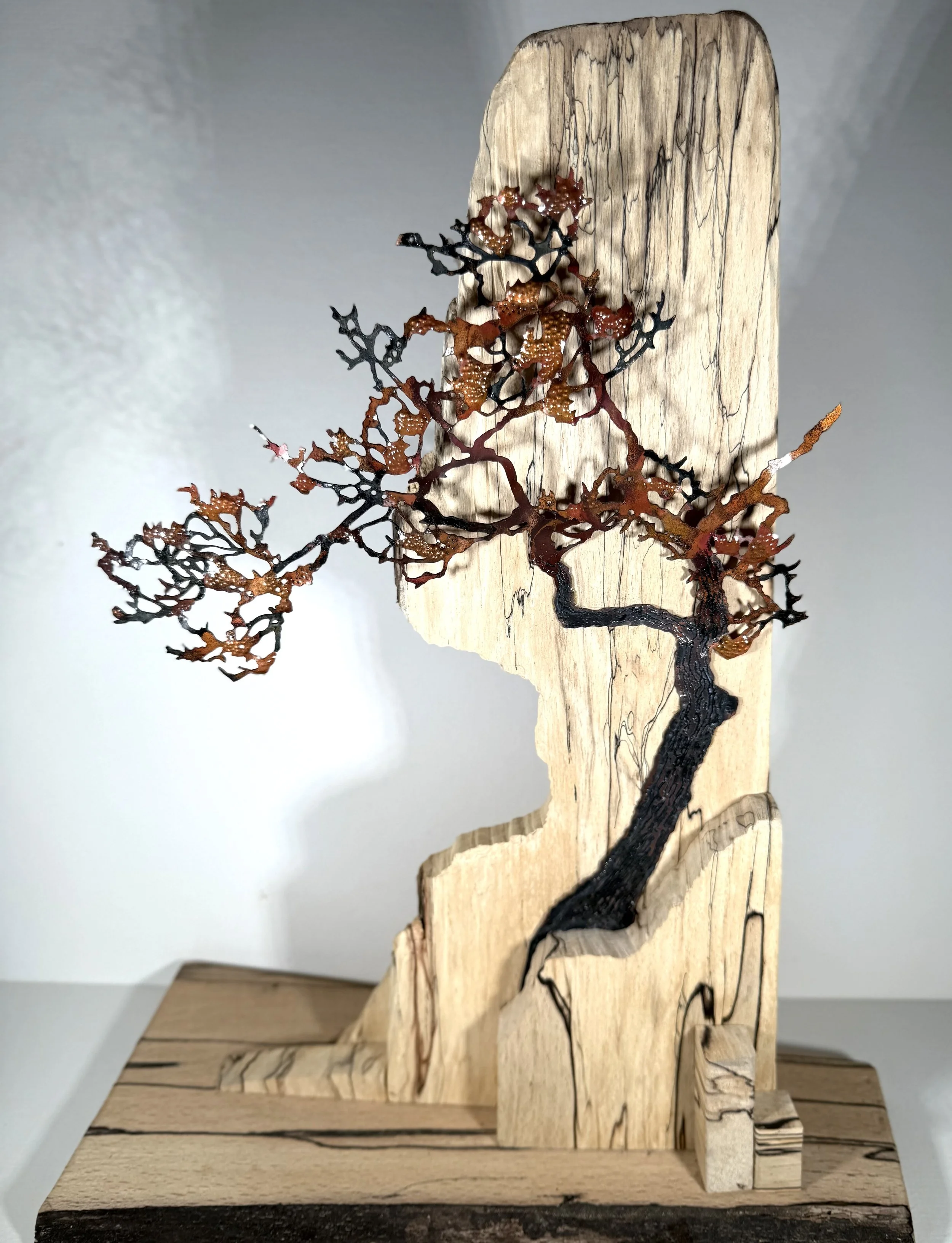 Abandoned Quarry (1).jpeg