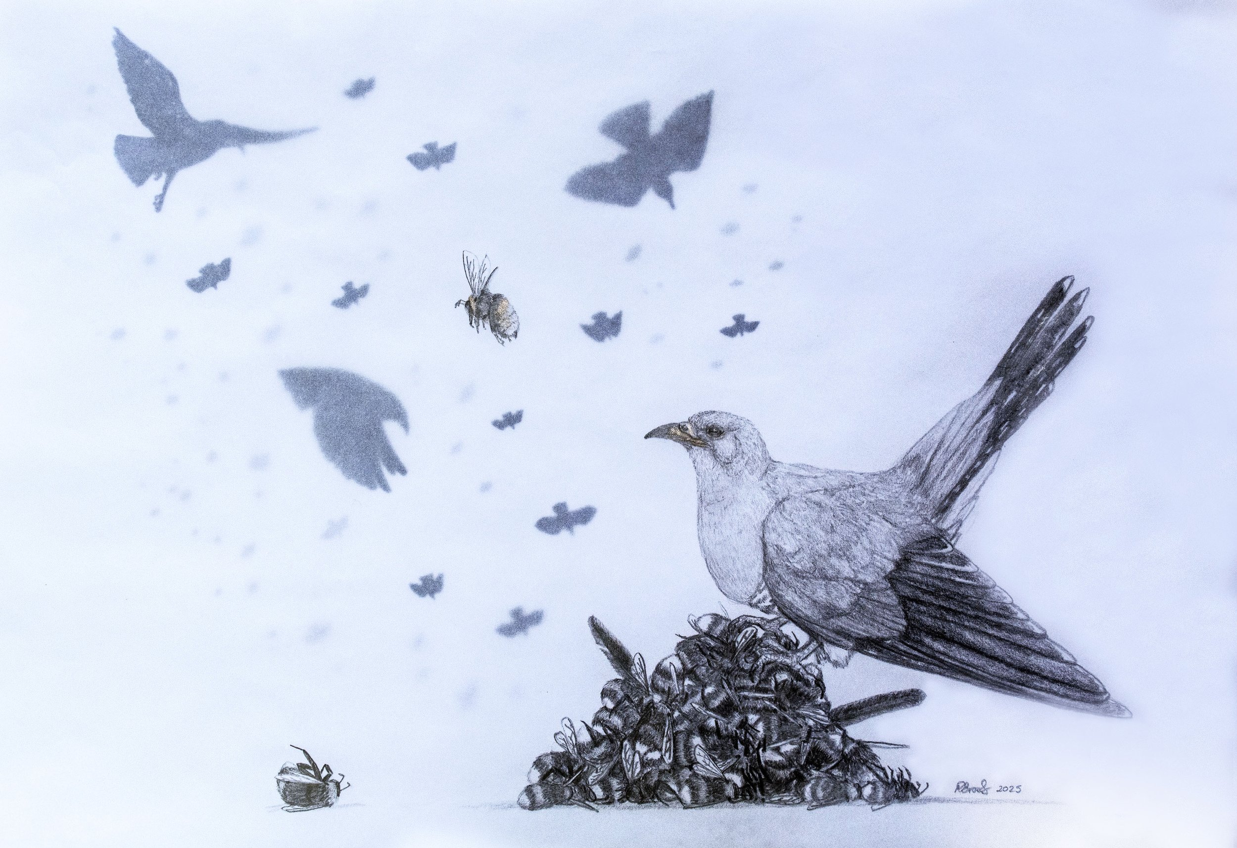 Brooks. Natalie. Cuckoo Rising. Pencil, Pen and Eyeshadow.jpg