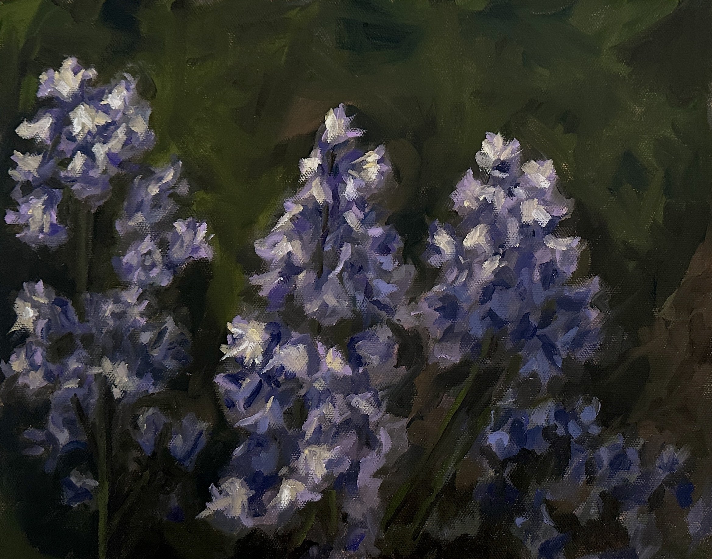 Still_Bluebells.JPEG