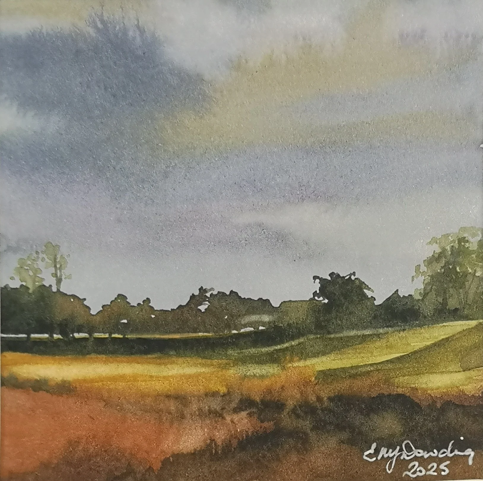 Bradgate Glow - Liz Dowding.jpg