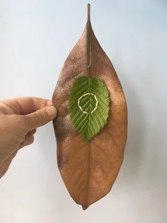 Jane Bevan Leaf art.jpg
