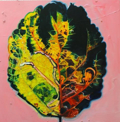 Catherine Rive Found Map 37 Leaf Series A concentration on impermanence 23.jpeg