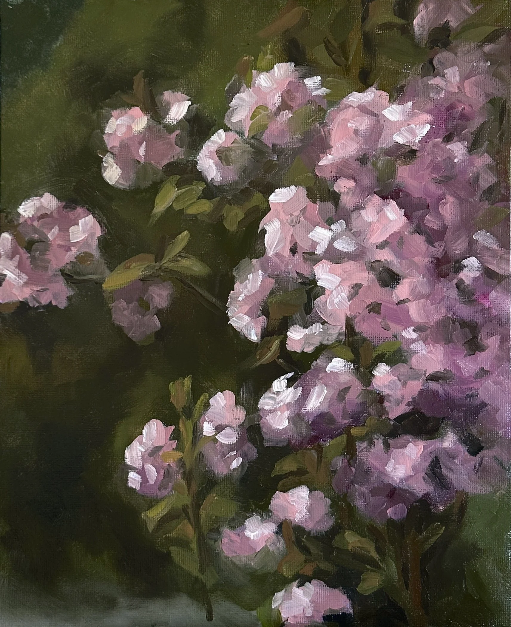 Cherry_Blossom_Bloom (1).JPEG