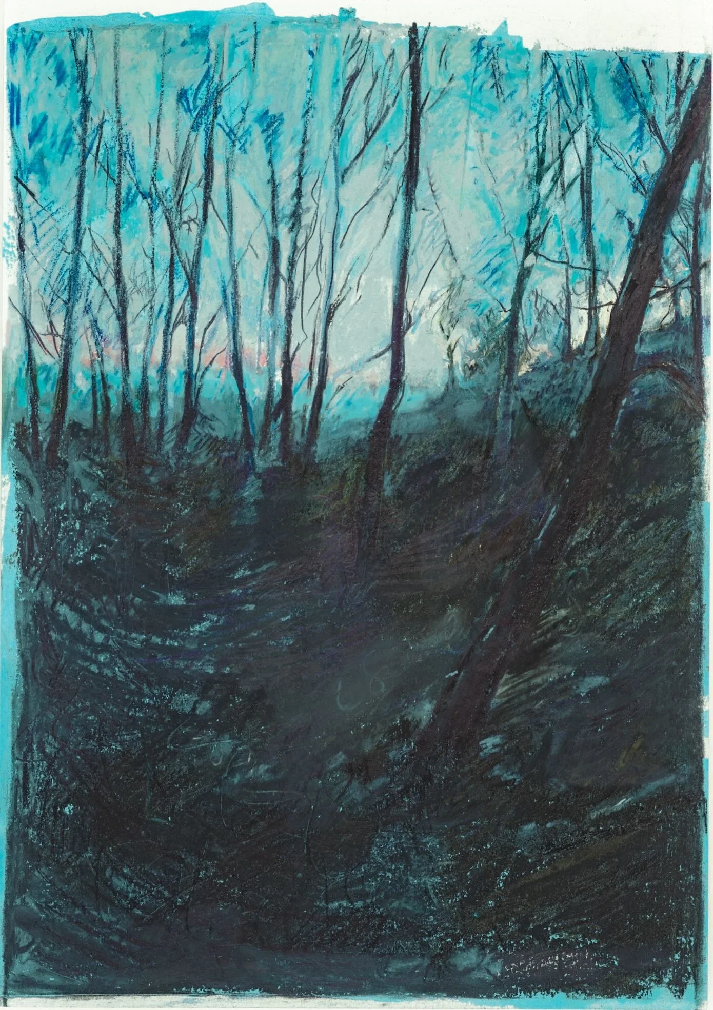 Once a Wood - February 6am (1).jpeg