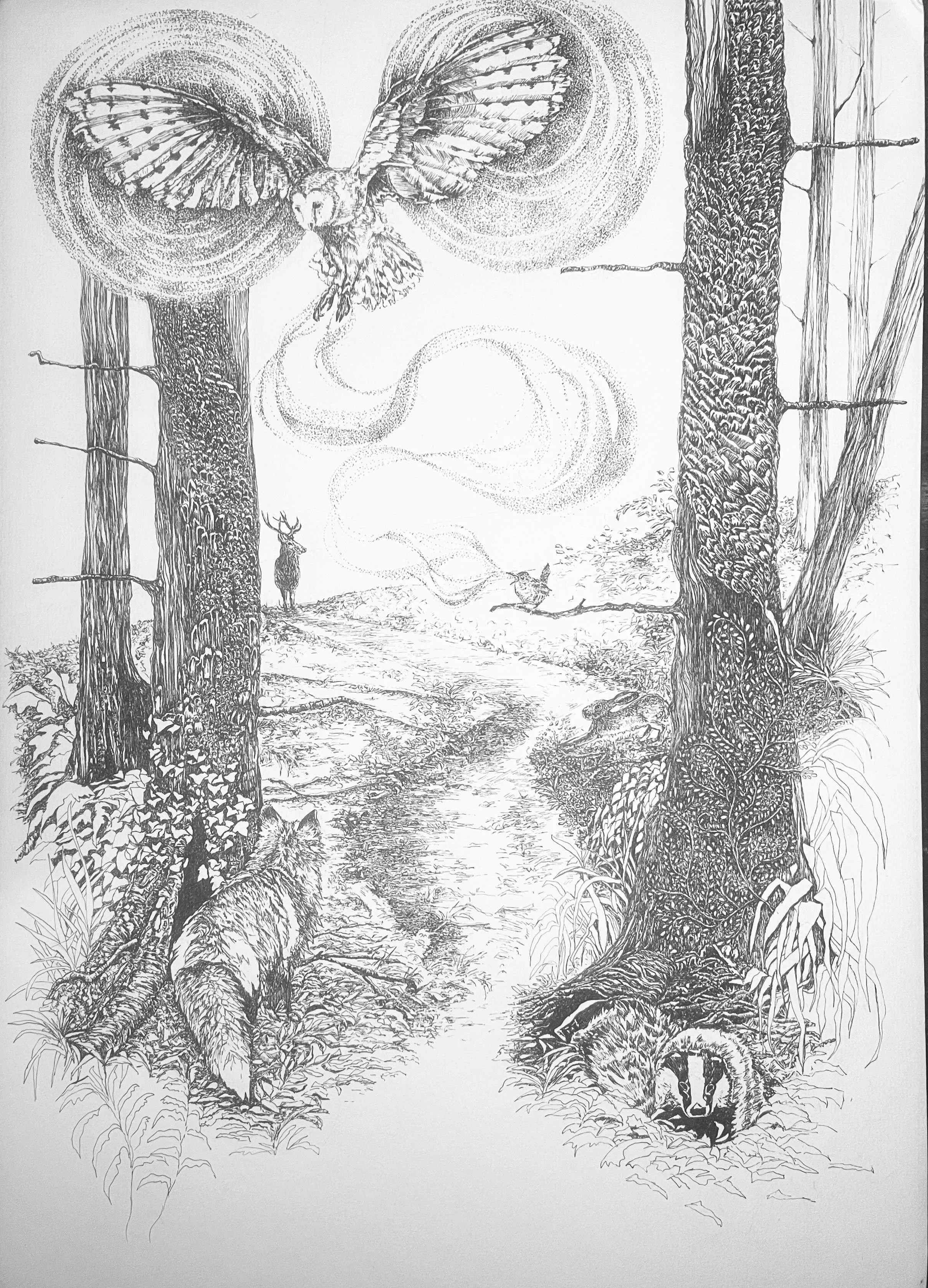 Song of the Forest.jpg