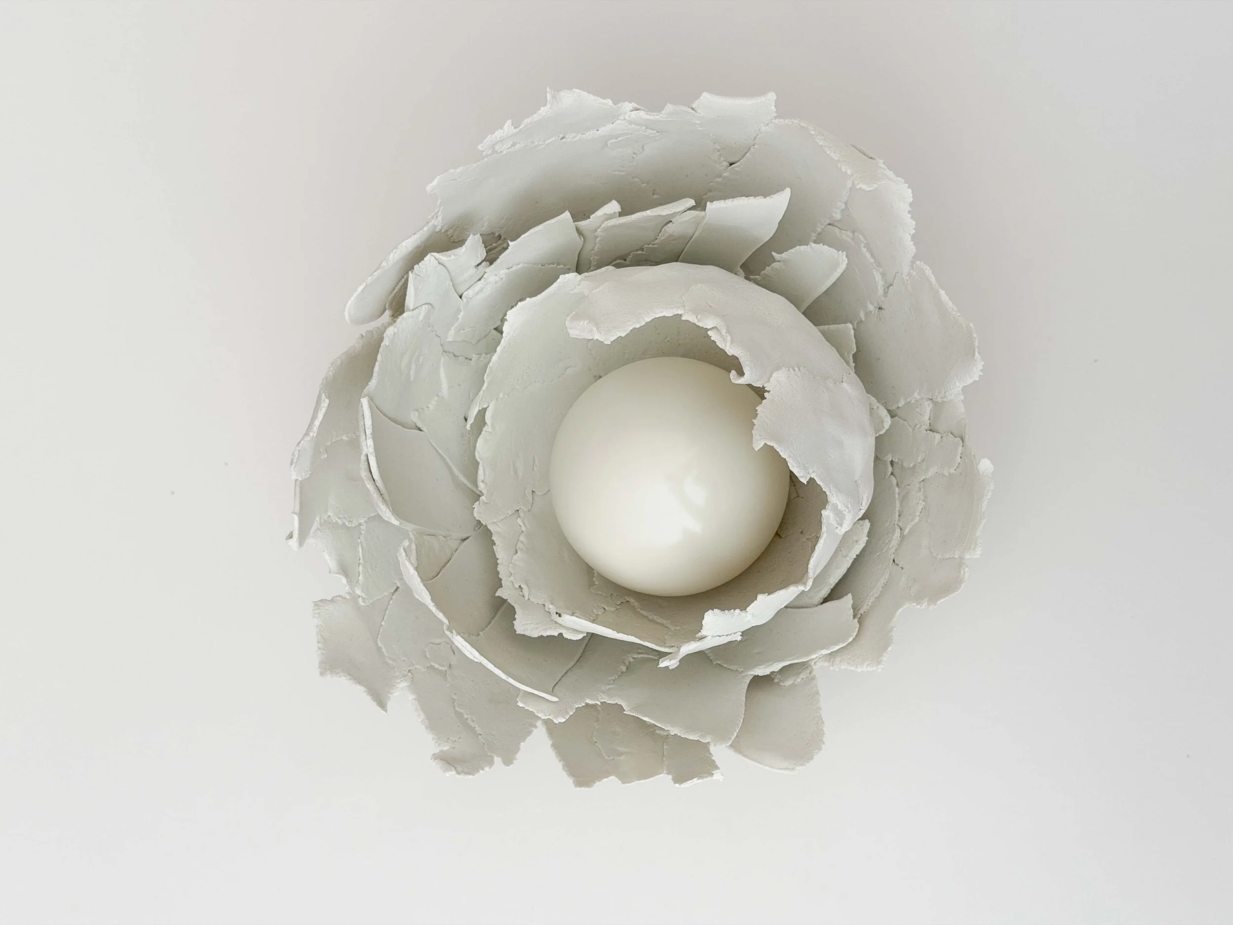 Lucy Lee_Cocoon (1).jpg