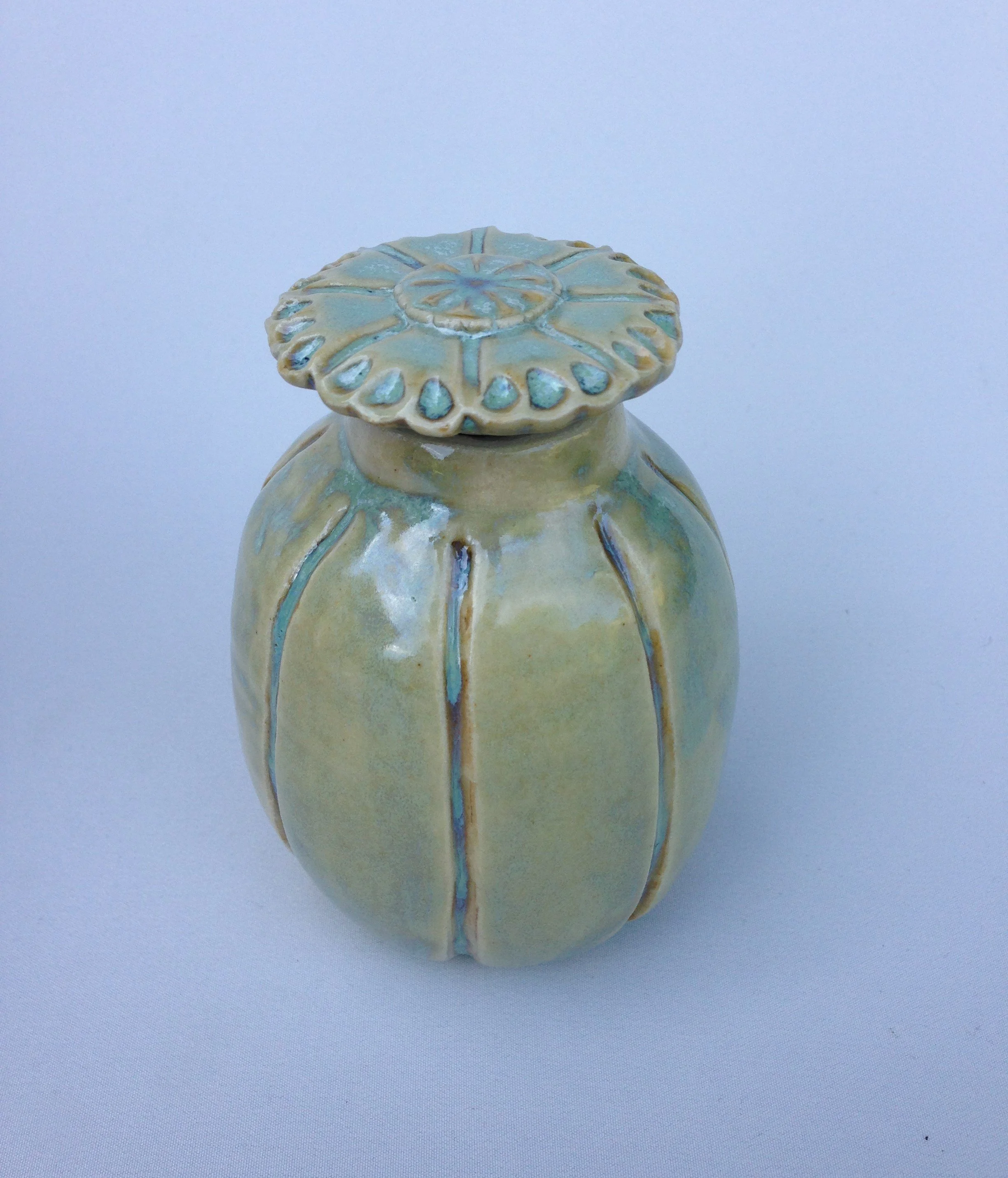 Tiny Poppy Seedhead.JPG