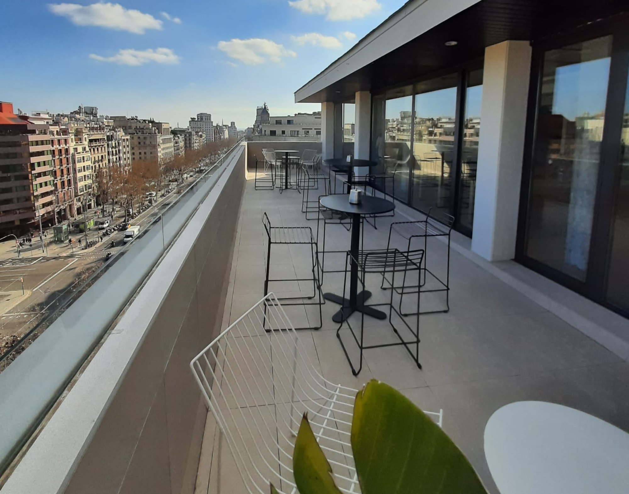 terraza 1.png