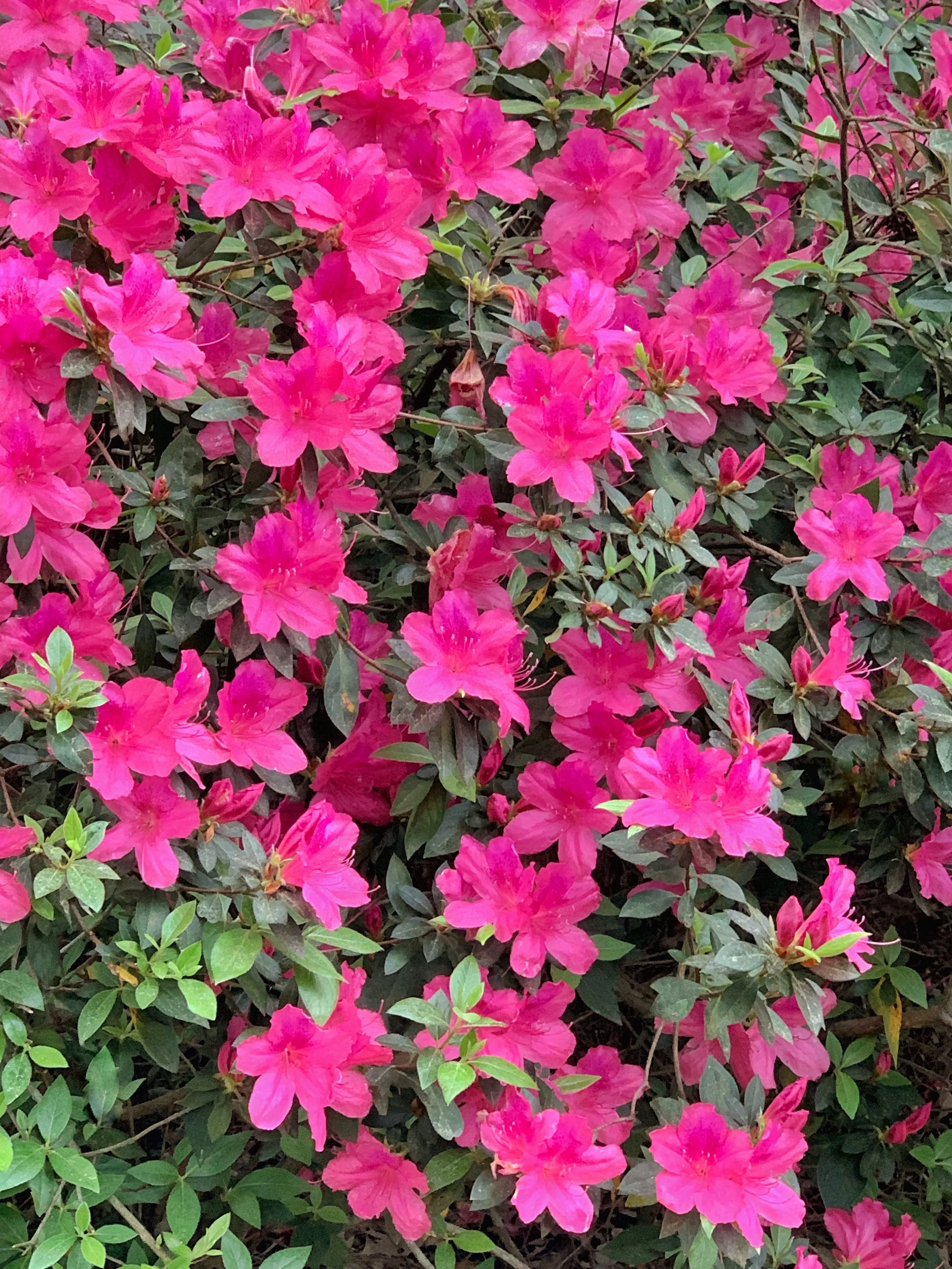 Empowering Verses For The Boss Babe