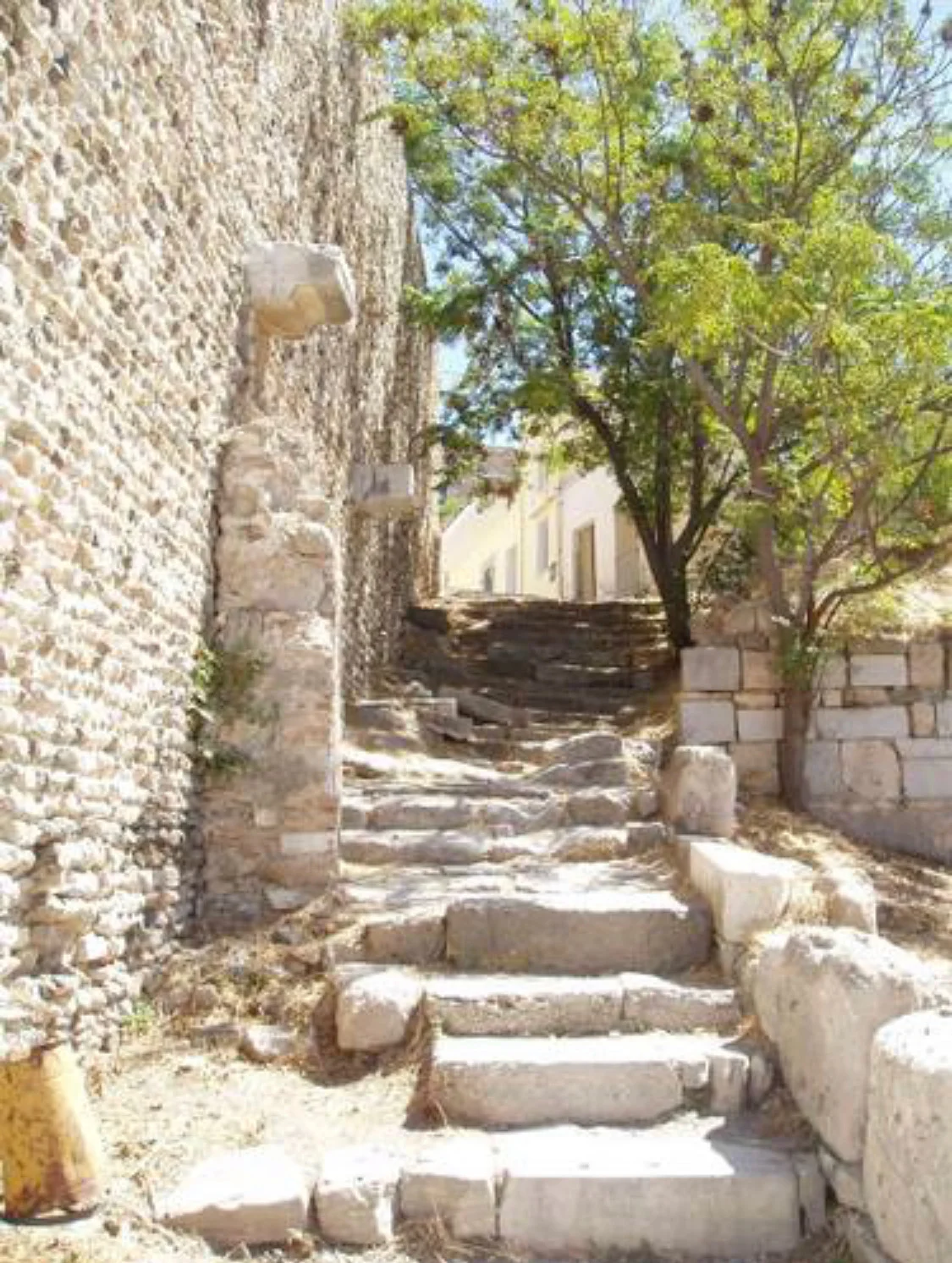 Seven Days With Jesus