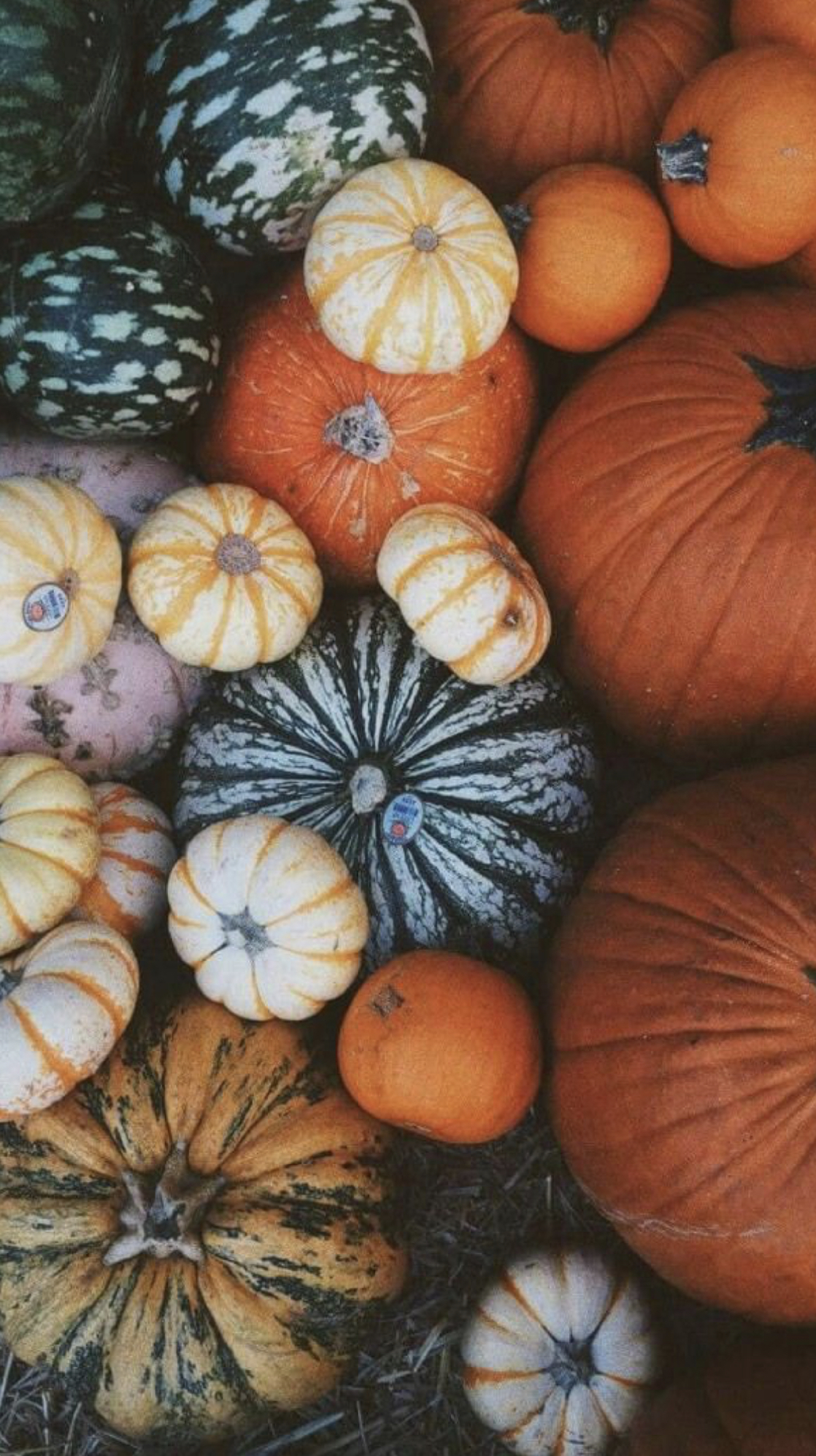 Autumn Date Night Ideas That Won't Break The Bank