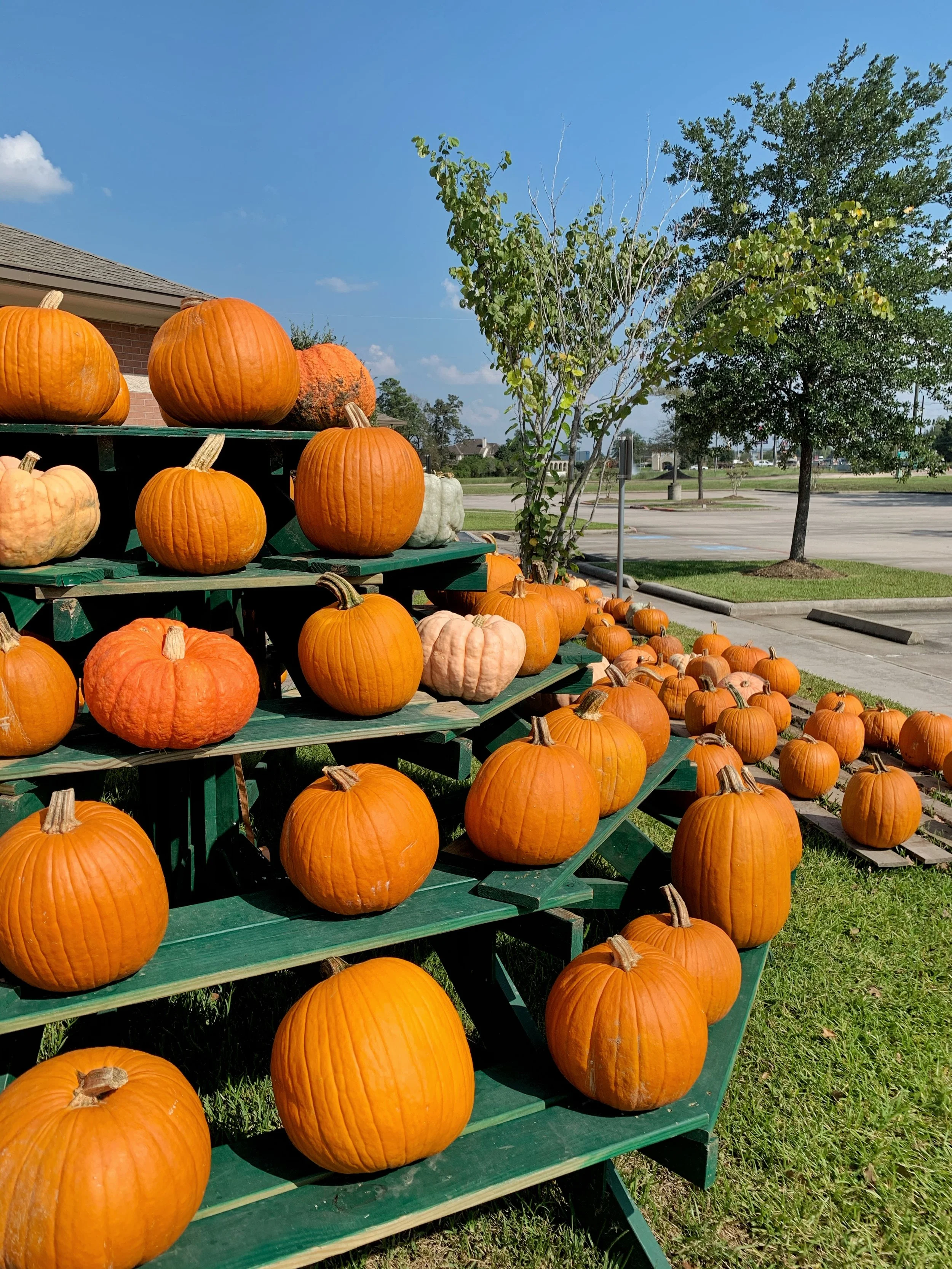 2019 Autumn Bucket List 