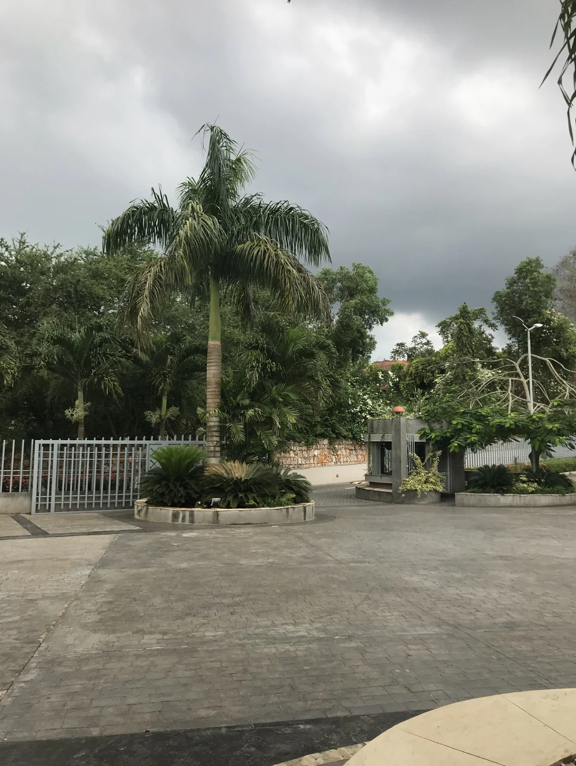 JJ Wilburn: A Letter From Ghana