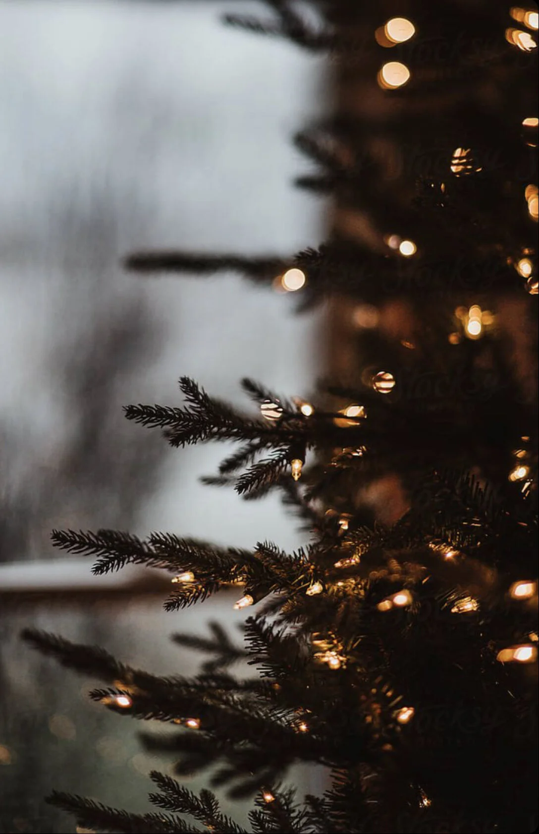 The Reason For The Season 
