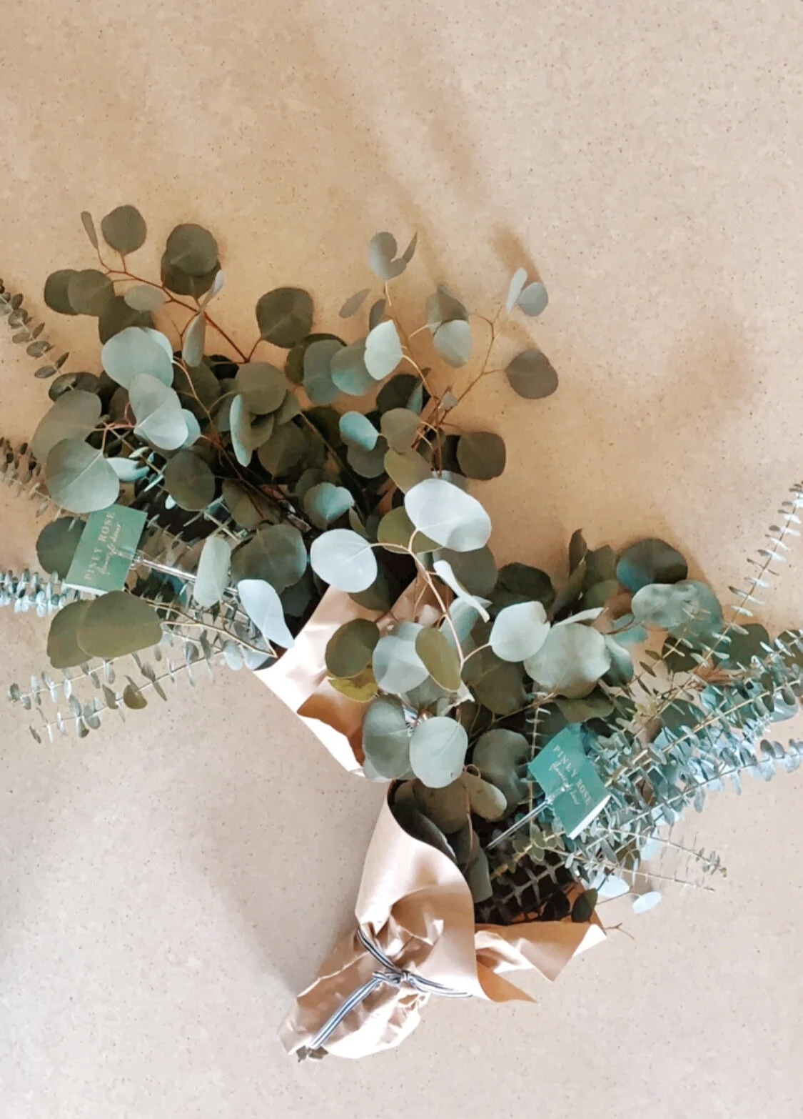 Health Benefits of Eucalyptus 