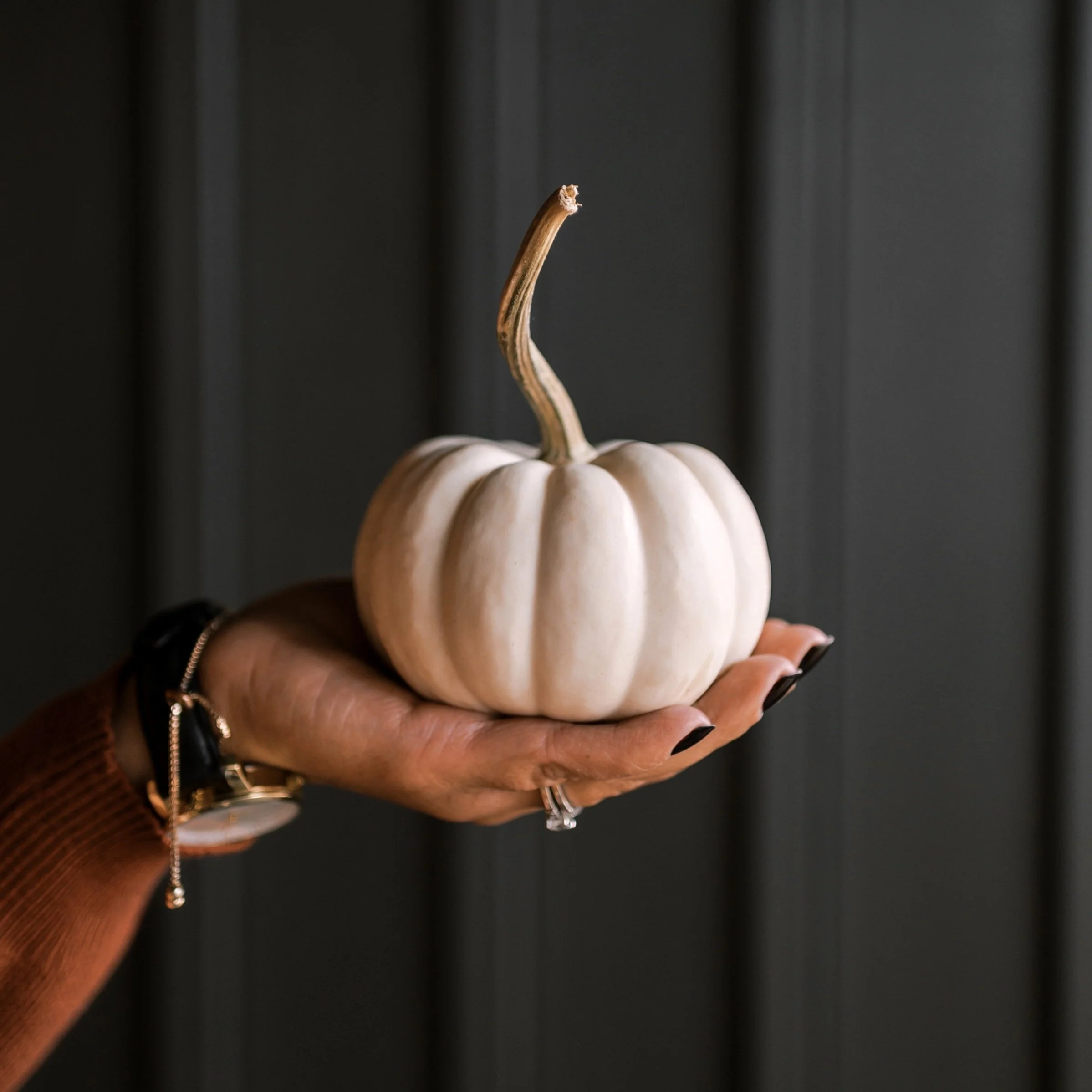 Harvest New Opportunities