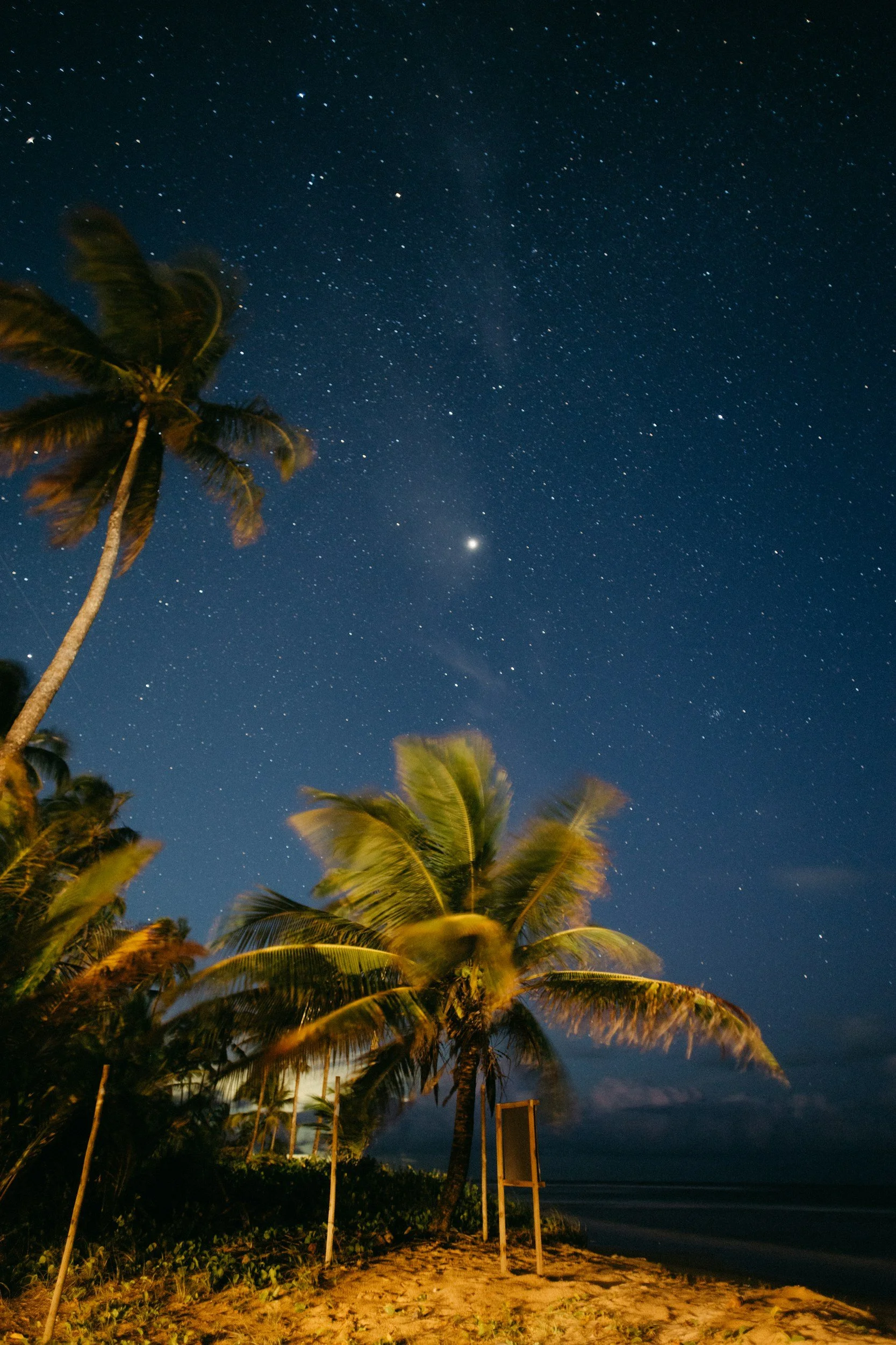 PALM BEACH NOVEMBER : Under the Stars: A Private Dining Experience