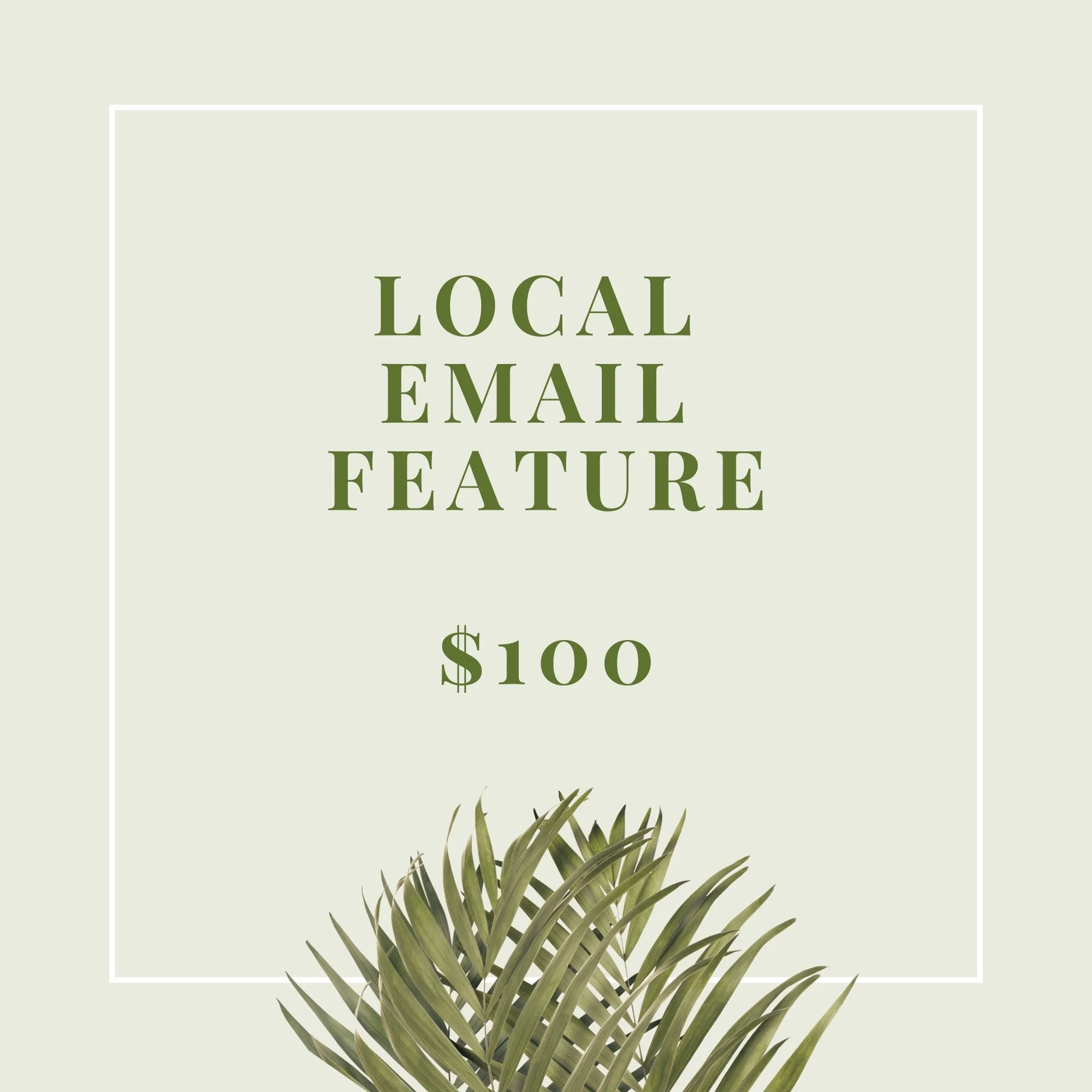 Local Email Spotlight Feature -$100