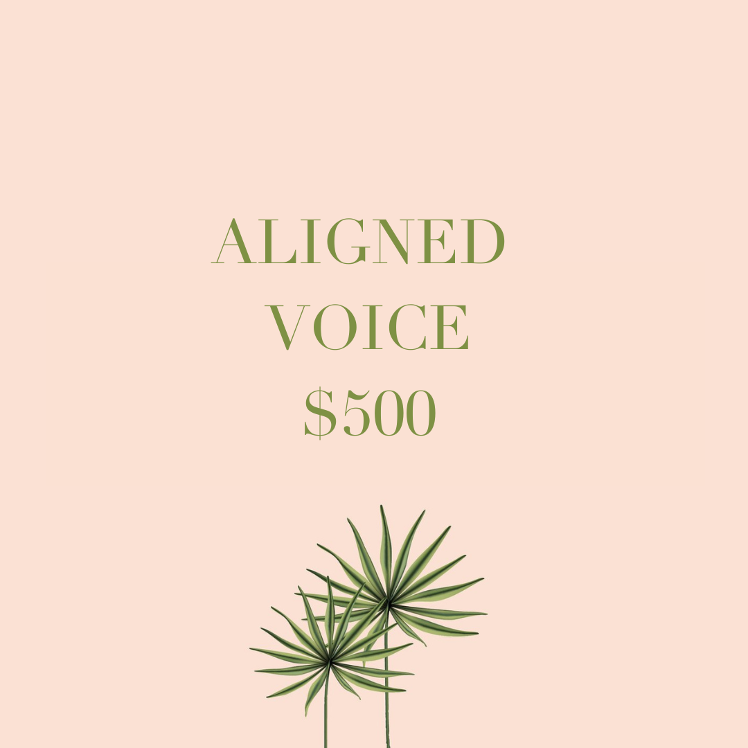 Aligned Voice – $500