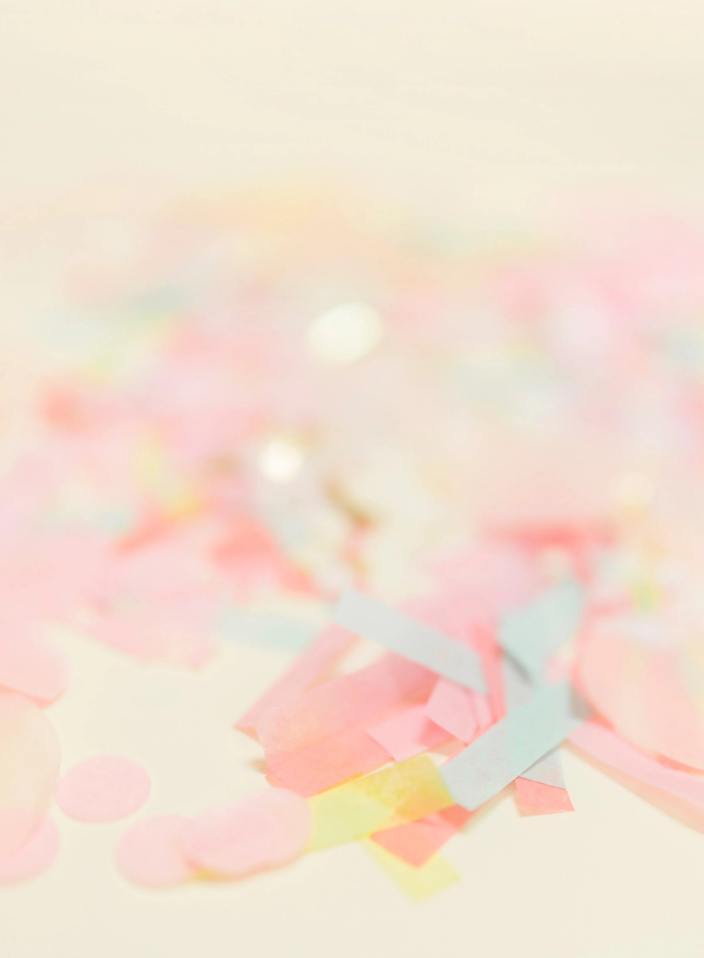 ETOBICOKE //  In Person Launch Event