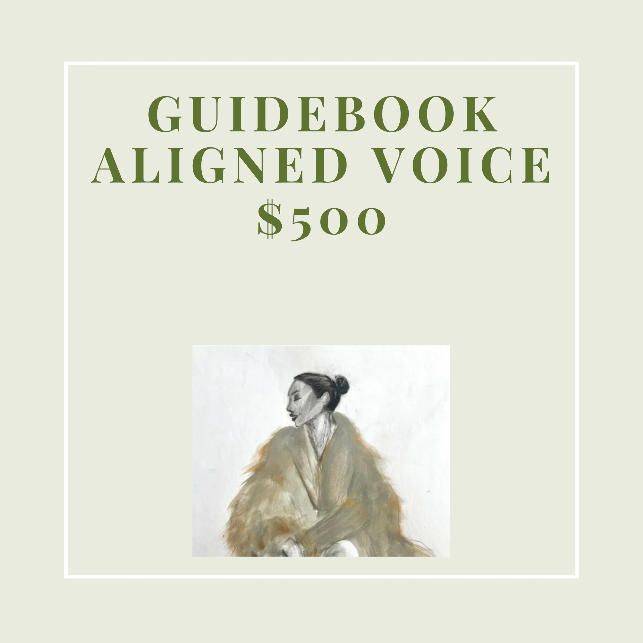 GUIDEBOOK ALIGNED VOICE.jpg