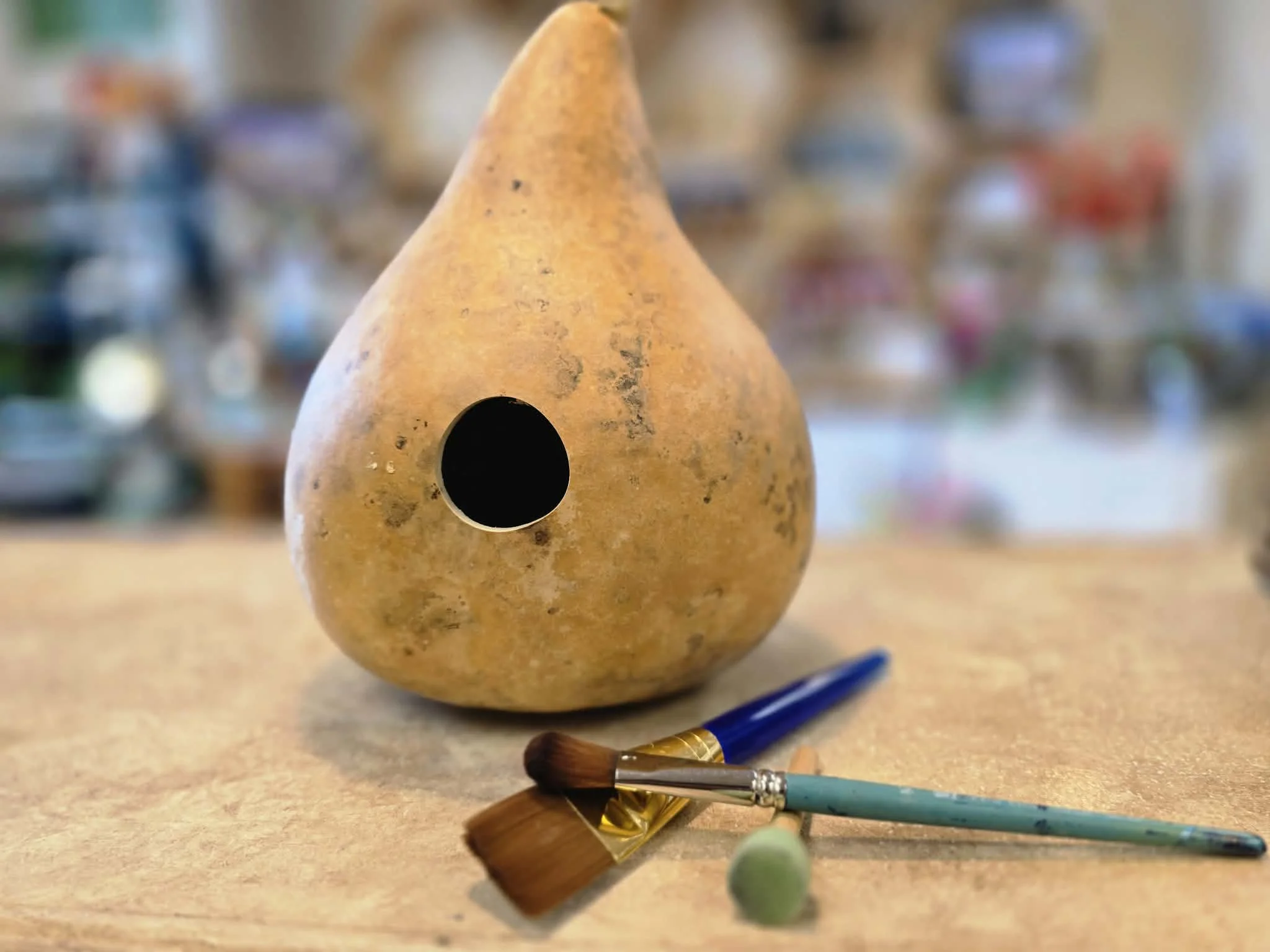Birdhouse Gourd Painting Class